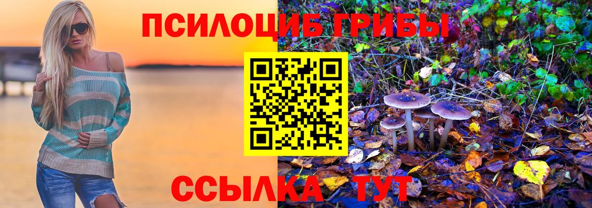 Псилоцибиновые грибы прущие грибы  Псилоцибиновые грибы Cubensis  Гуково  Вход с VPN 