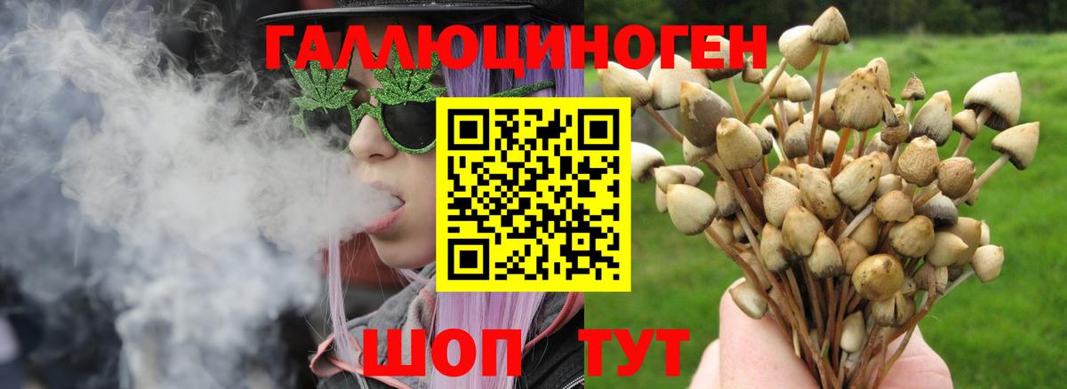 Псилоцибиновые грибы Magic Shrooms Гуково