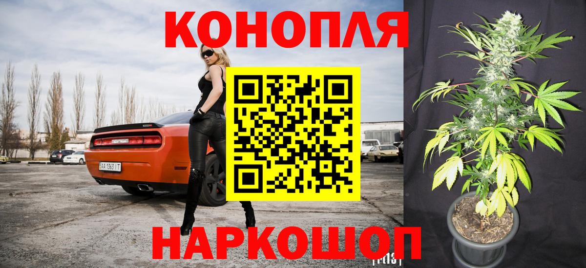 МАРИХУАНА планчик Гуково